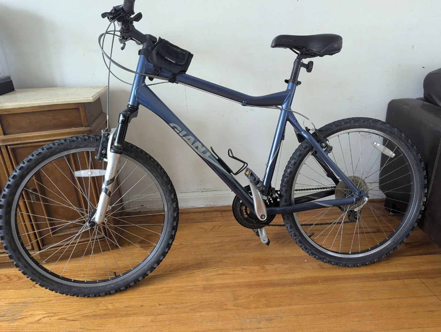 Blue Giant Mountain Bike