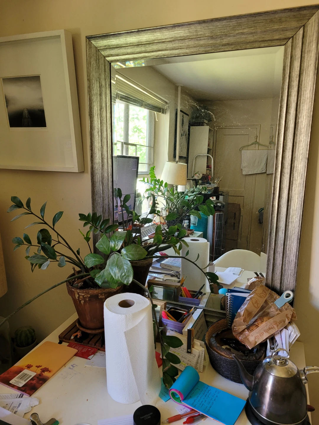 3 big mirrors-  $20  each