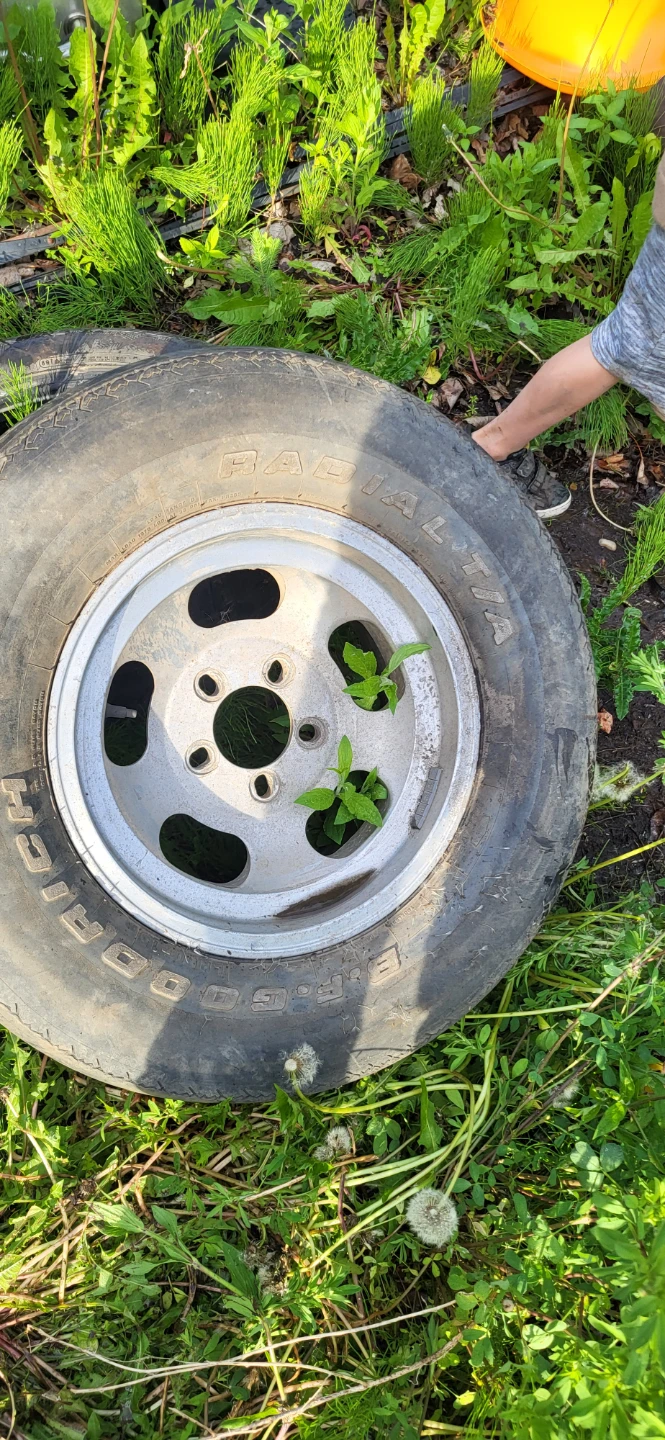 Vintage Cragger 15x7 Aluminum rims