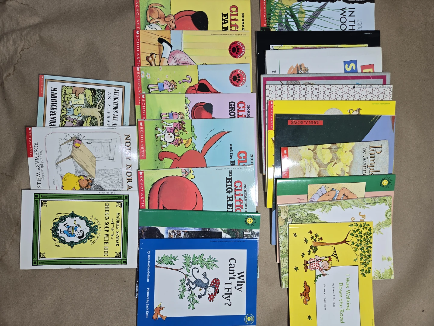 Scholastic Childrens Picture Books Lot of 22