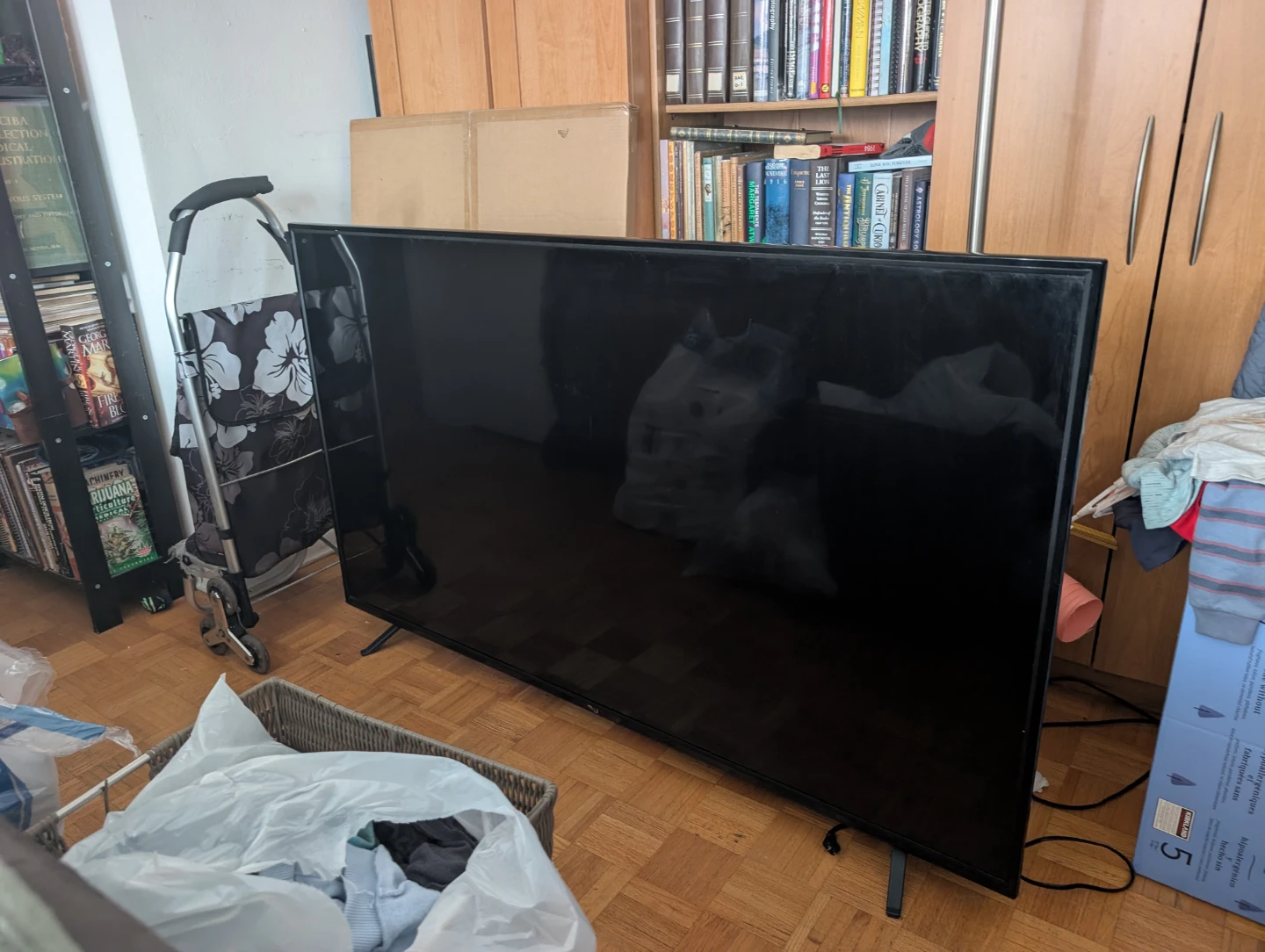 65 inch RCA TV - Broken Led