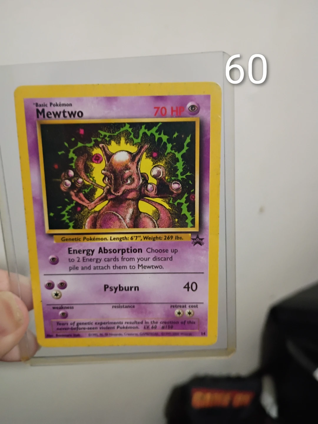 Pokemon cards in protectors