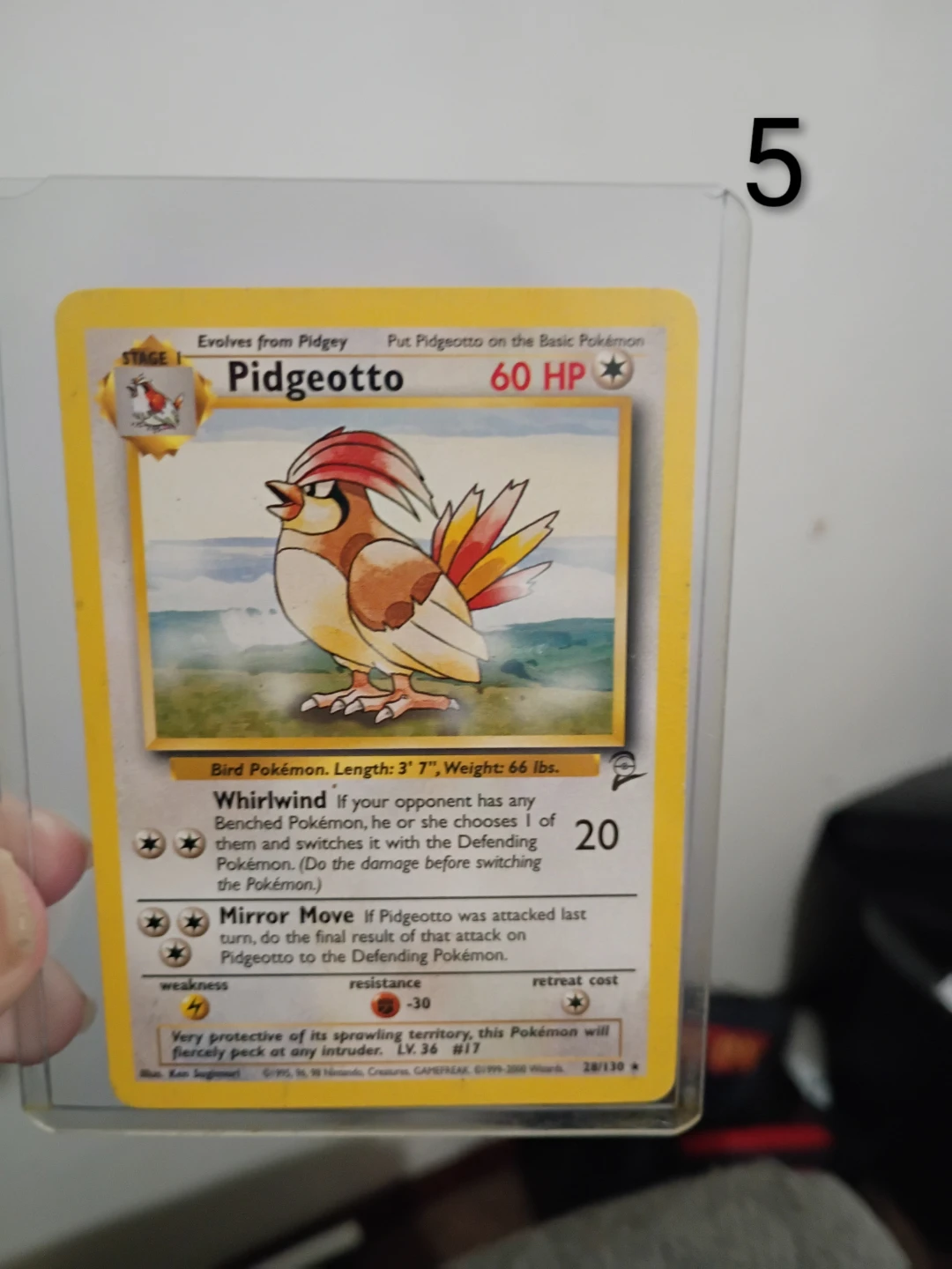 Pokemon cards in protectors - photo 2