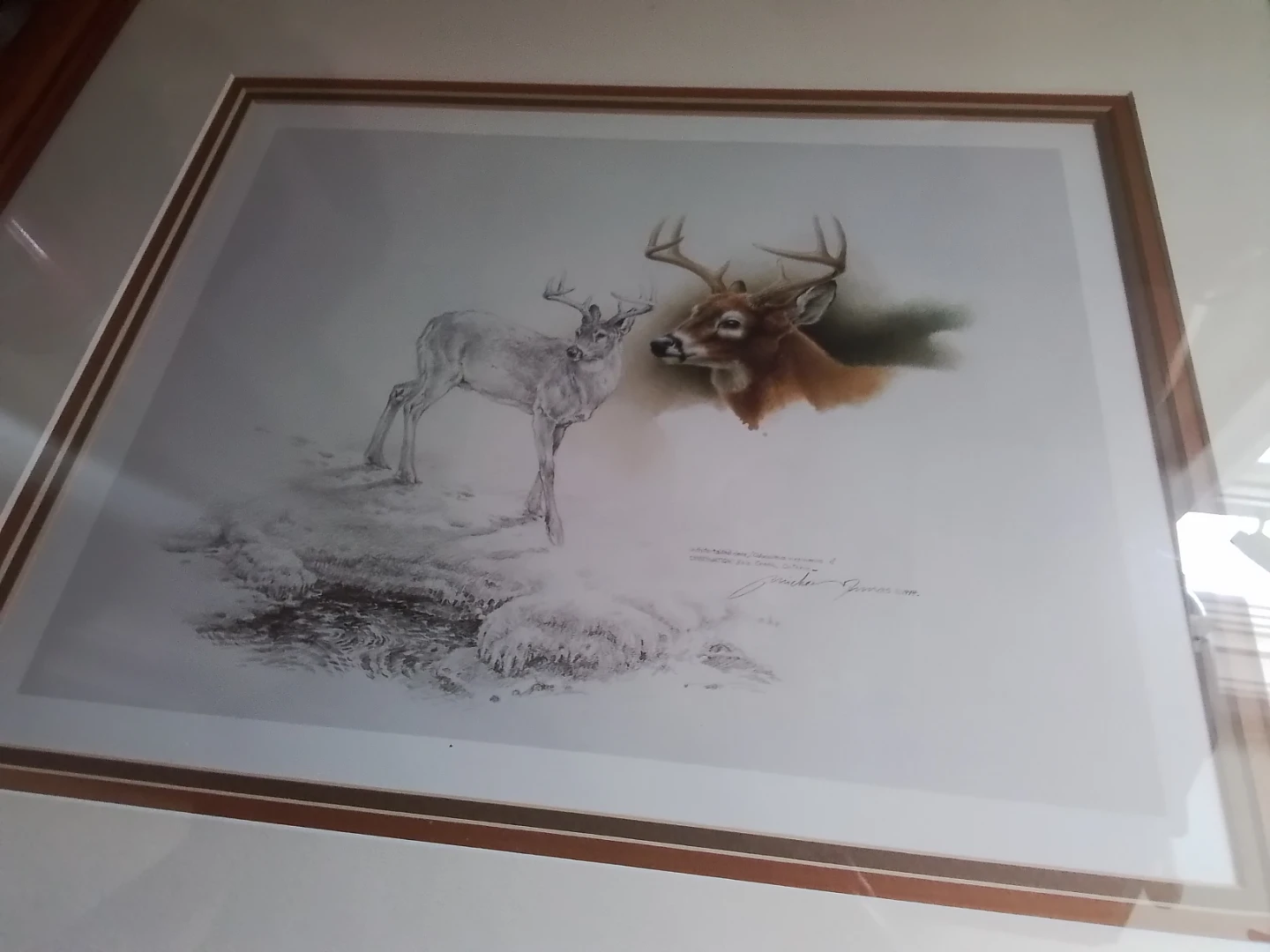 Framed Michael Dumas Signed Wildlife Print - photo 4