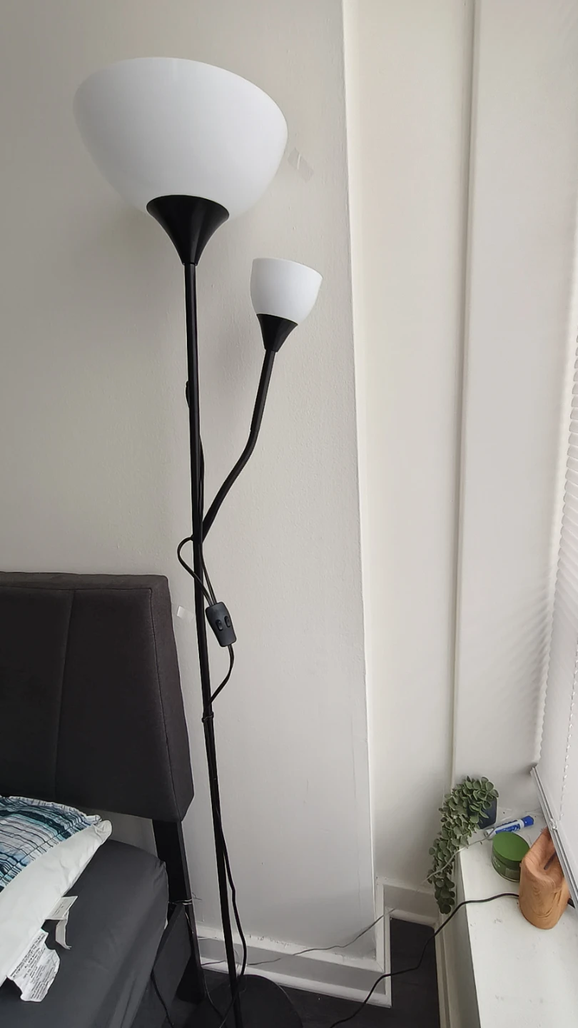 Black Floor Lamp with Reading Light