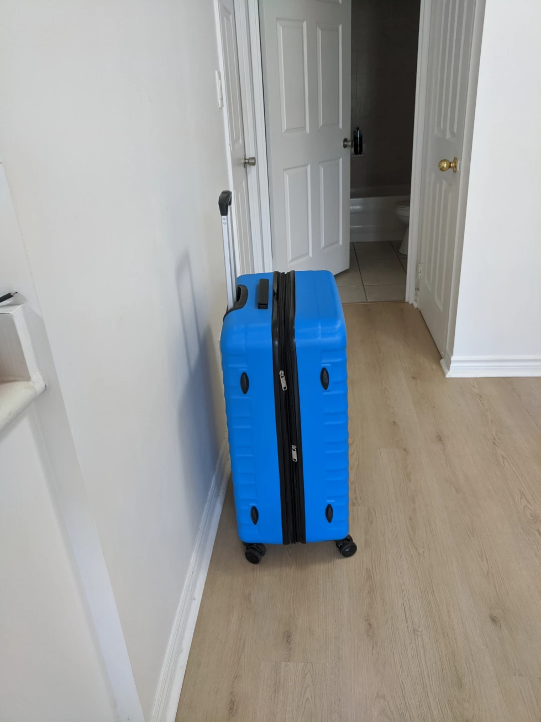 Amazon Basics Hardside Spinner Suitcase - Blue - photo 3