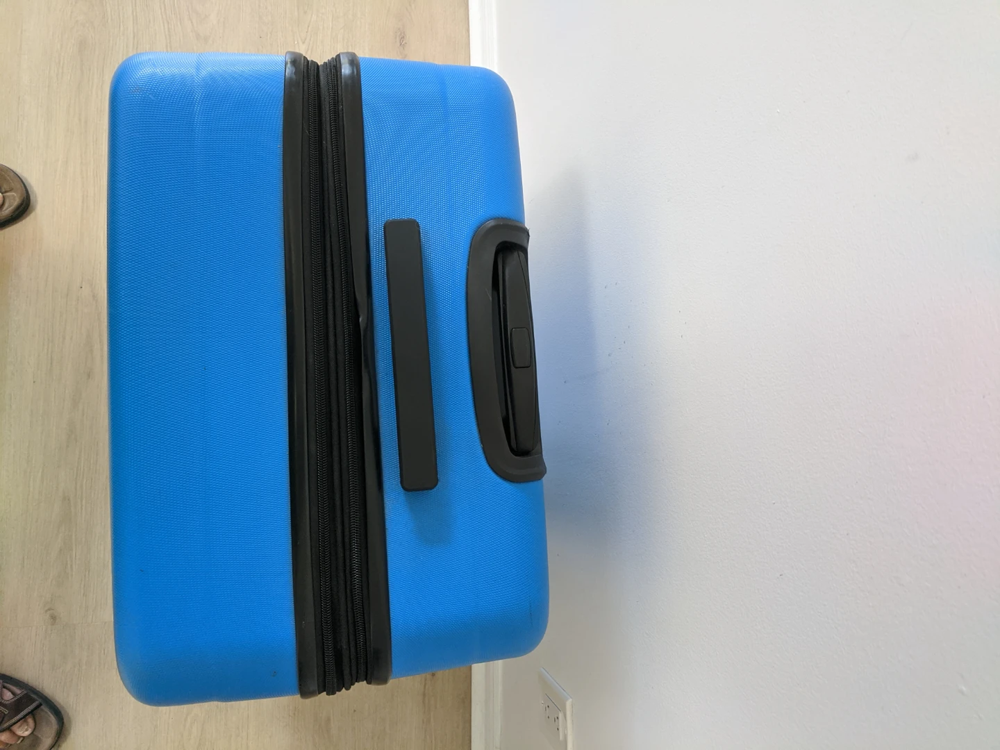 Amazon Basics Hardside Spinner Suitcase - Blue - photo 4