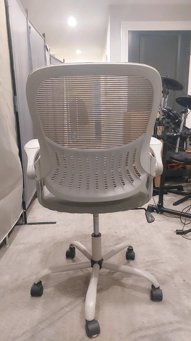 Gray Ergonomic Office Chair - photo 4