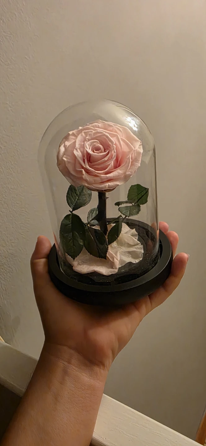 Pink Preserved Rose in Glass Dome