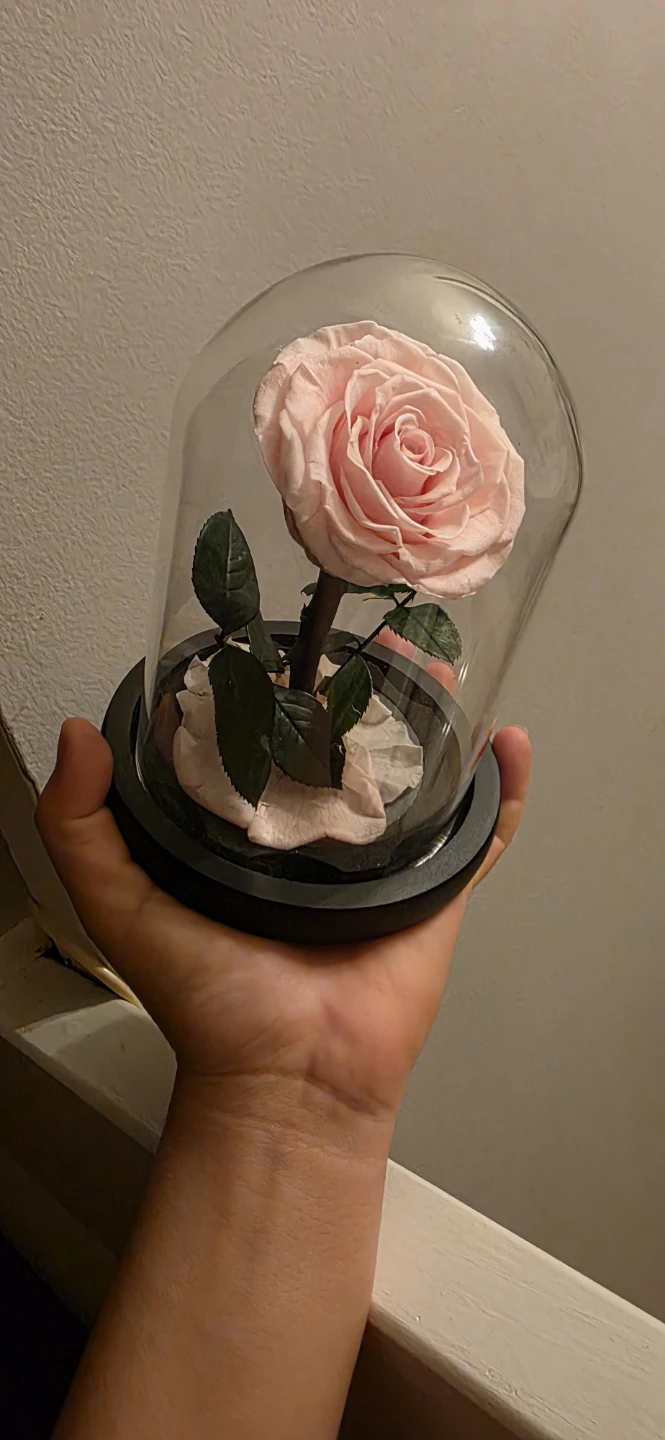 Pink Preserved Rose in Glass Dome - photo 2