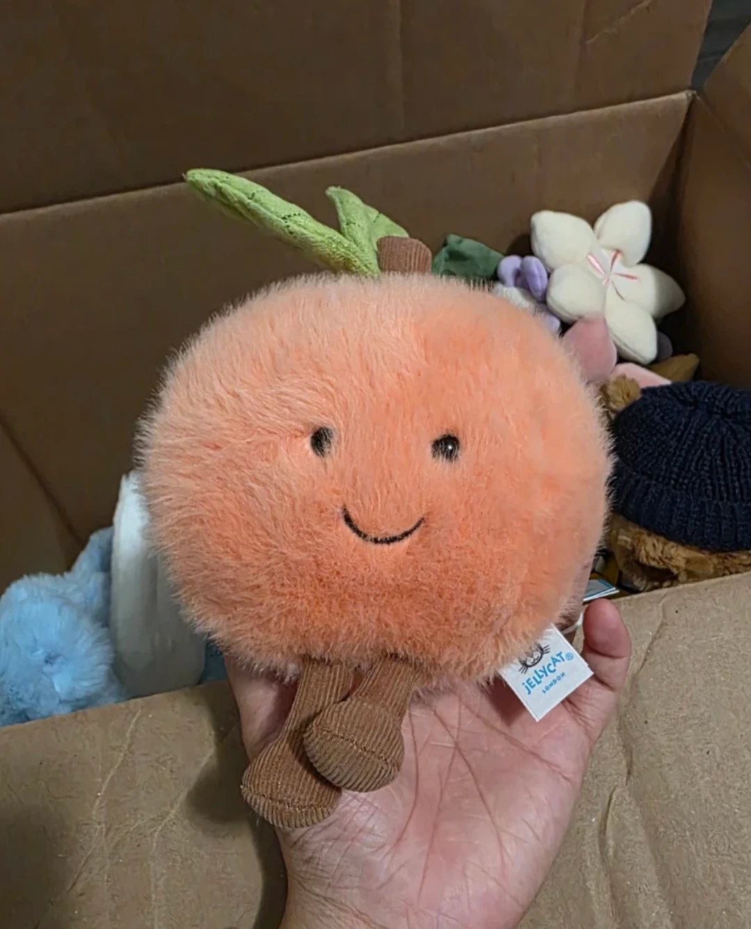 BMWT Jellycat Amuseables Peach 🍑