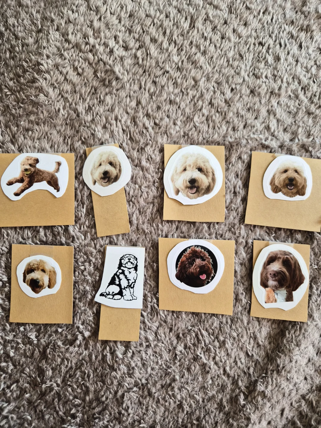 Dog Stickers - Various Labradoodle Breeds