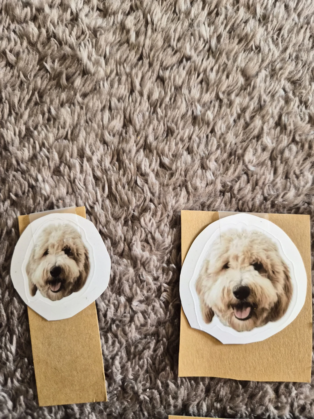 Dog Stickers - Various Labradoodle Breeds - photo 3
