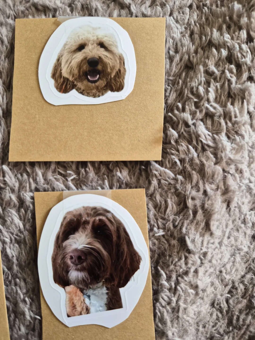 Dog Stickers - Various Labradoodle Breeds - photo 4