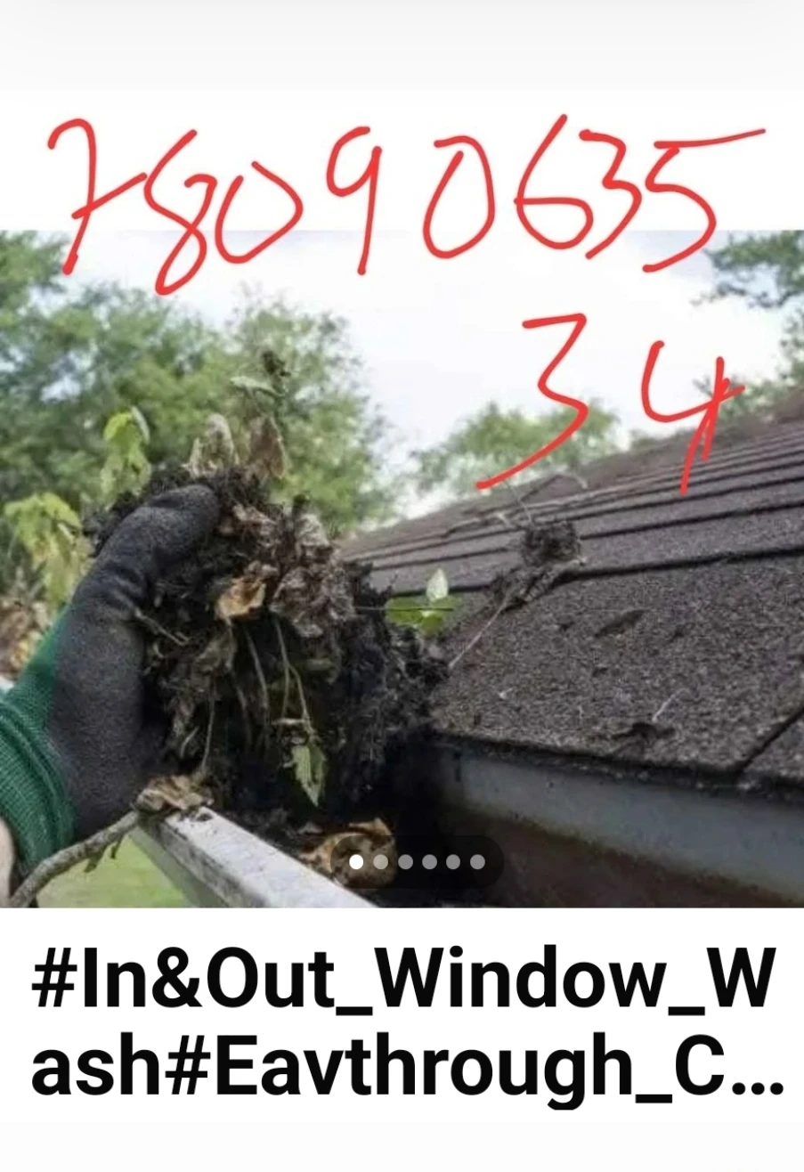 # Eavesthrough_Clean#Trimming_Trees #Windows_Wash#House_Wash# - photo 3
