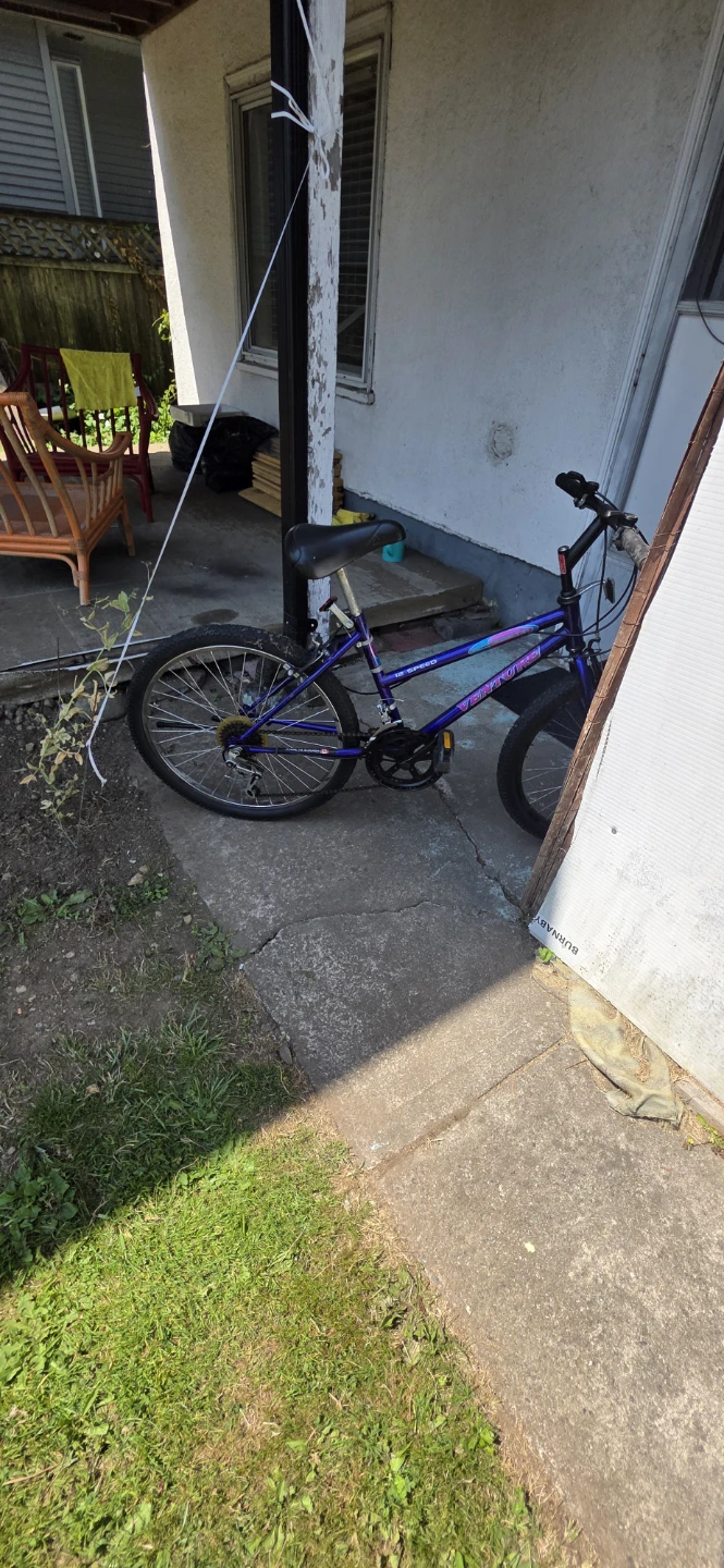Ventura 12-Speed Mountain Bike – Needs Gear Adjustment