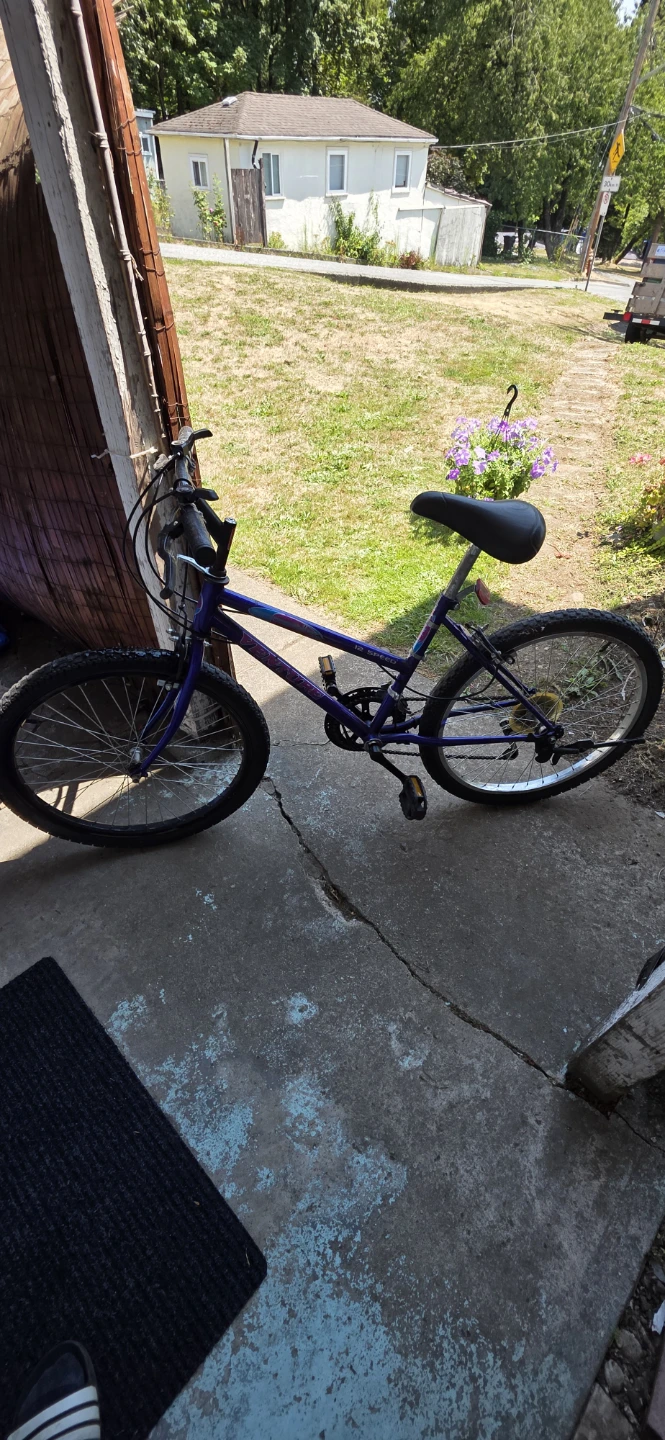 Ventura 12-Speed Mountain Bike – Needs Gear Adjustment - photo 3