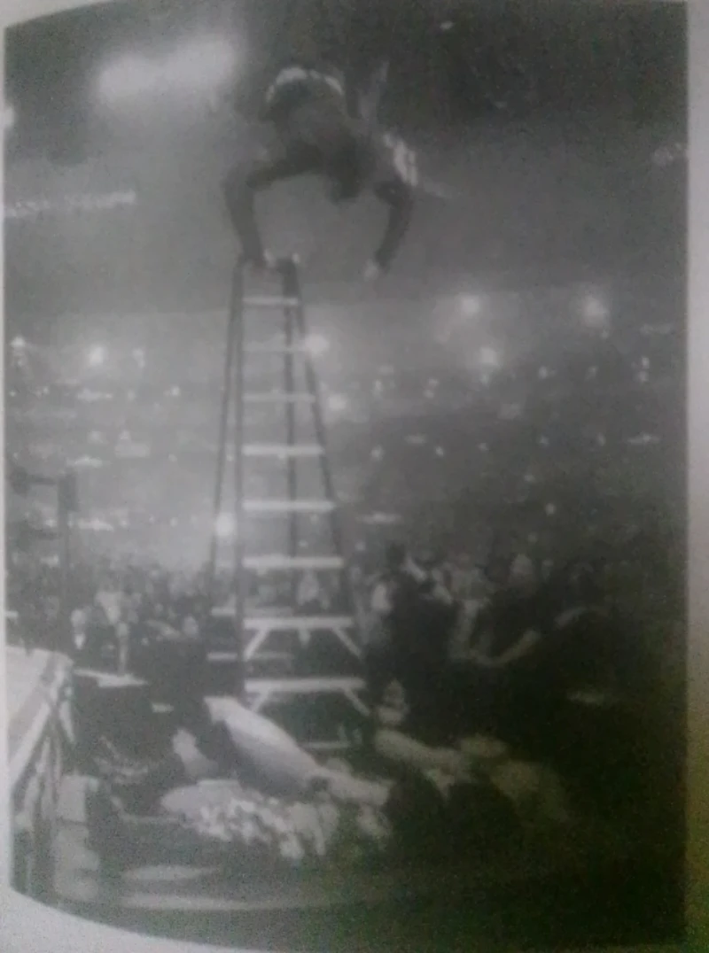 The Hardy Boyz Official Biography Book - photo 4