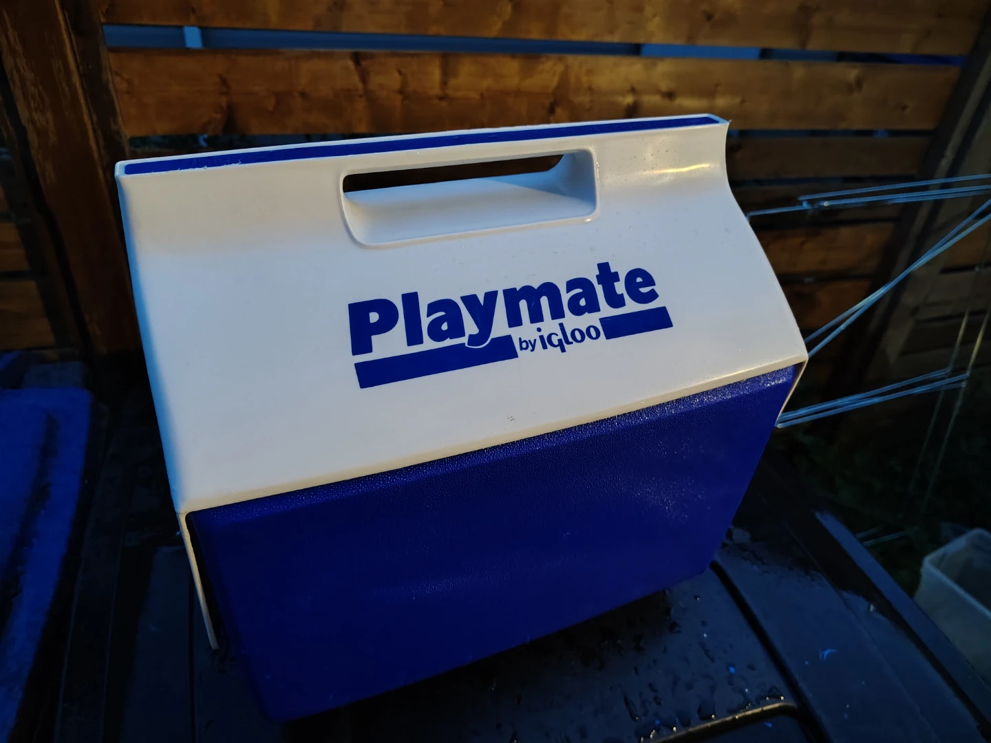 IGLOO 16 Quart Playmate Lunch Cooler
