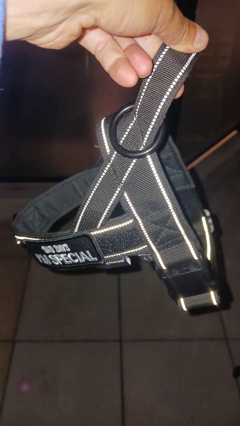 Black Dog Harness with Reflective Strips