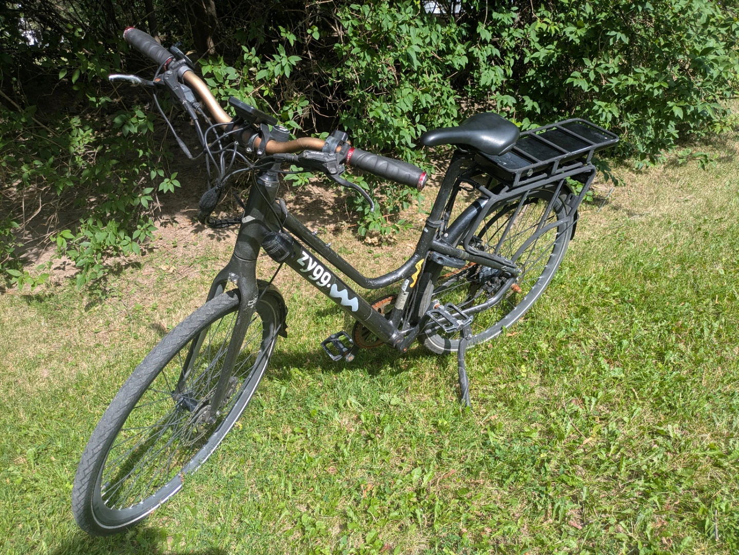 Zygg Electric Bike