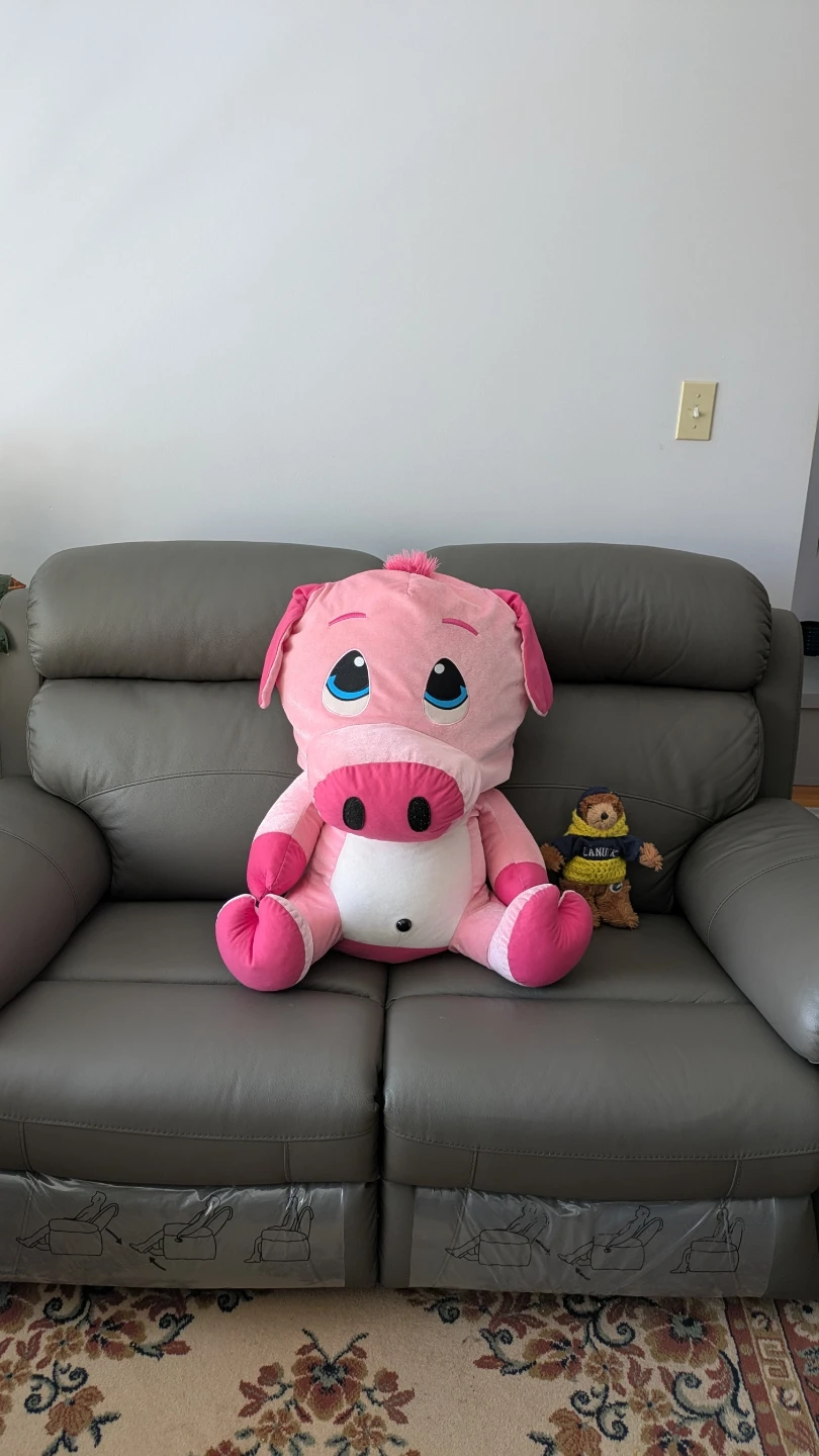 FREE Pink Pig Plush Toy