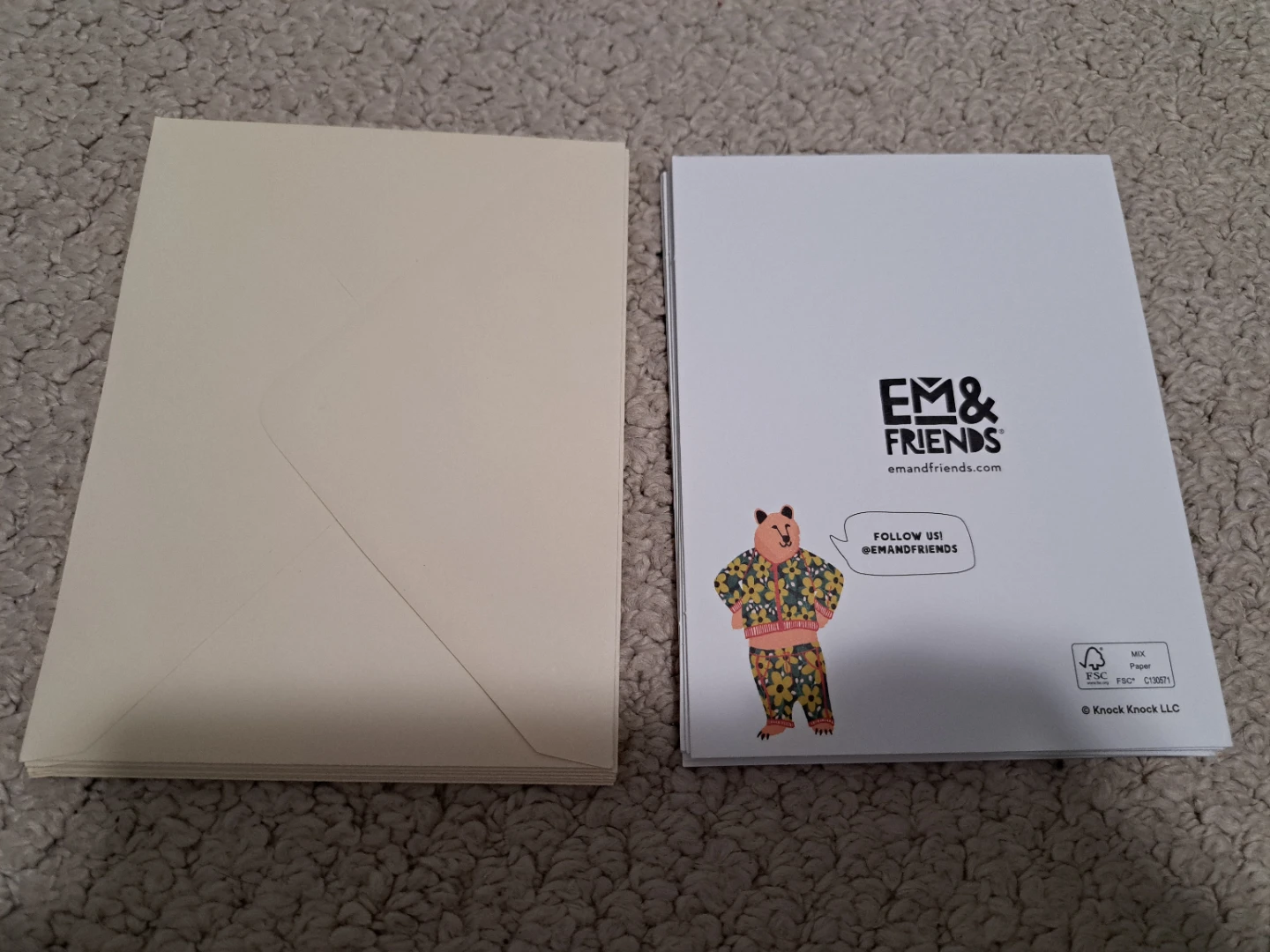 Greeting Cards with Envelopes - Em & Friends - photo 3