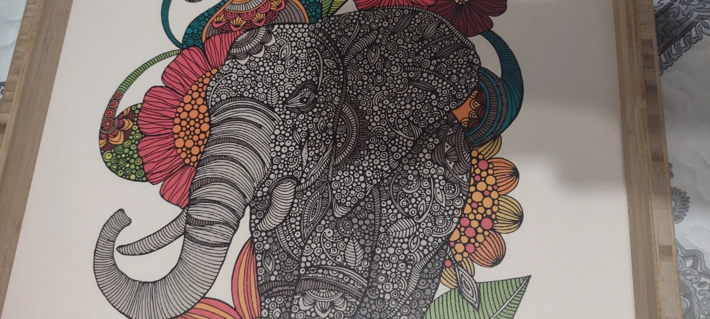 Vibrant Pictures with Designs - photo 2