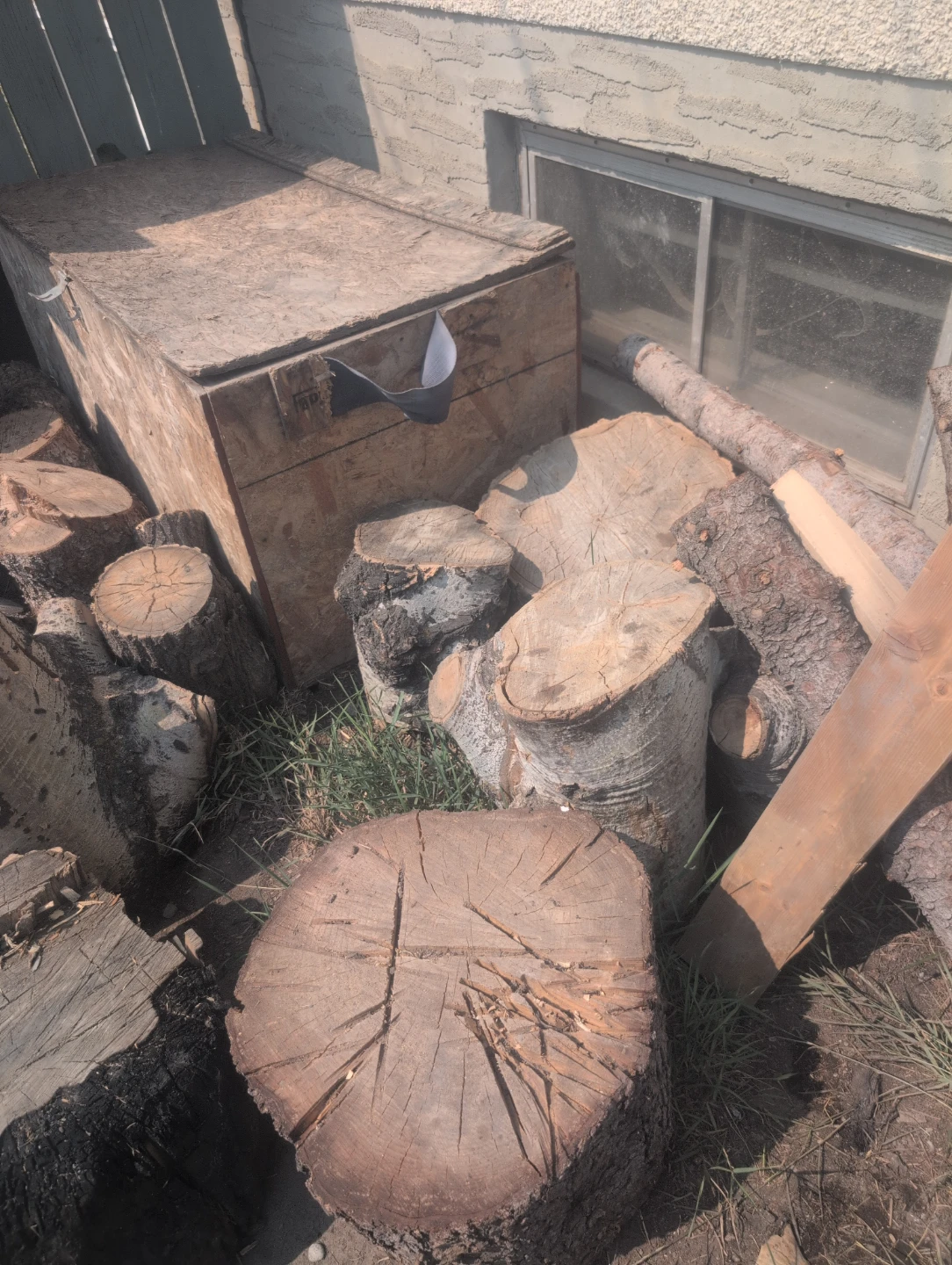 Bundle of Firewood - photo 2