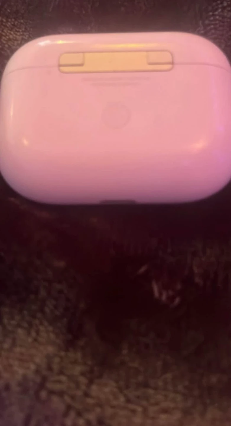 Apple AirPods Pro Charging Case with Earbuds - photo 2