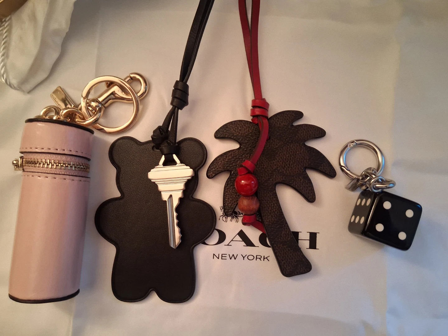 Coach bundle