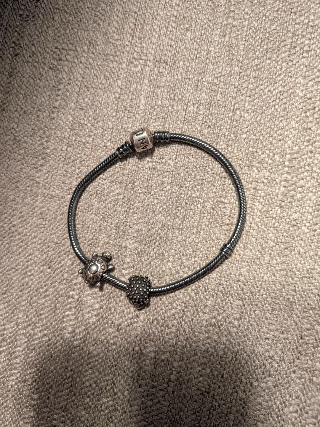 Pandora Bracelet with Two Charms