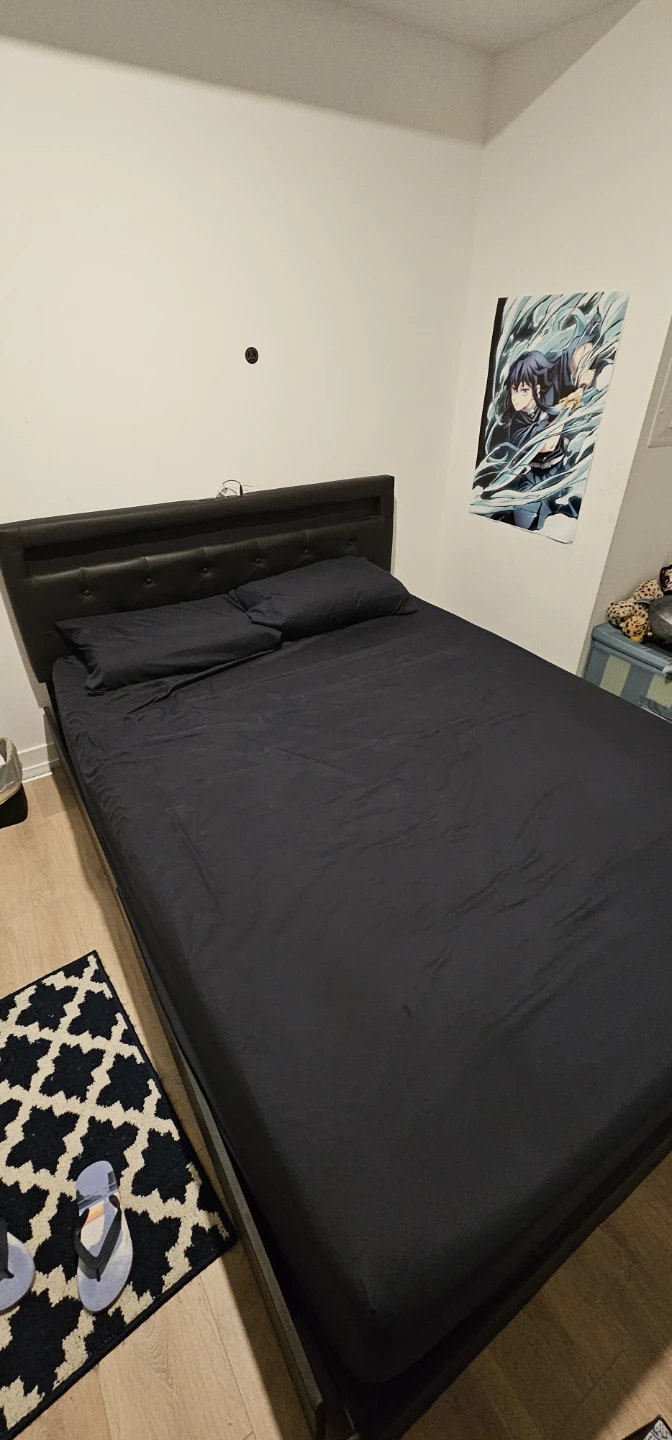 Rolandstar Queen Bed (+mattress) with LED Lights - photo 2