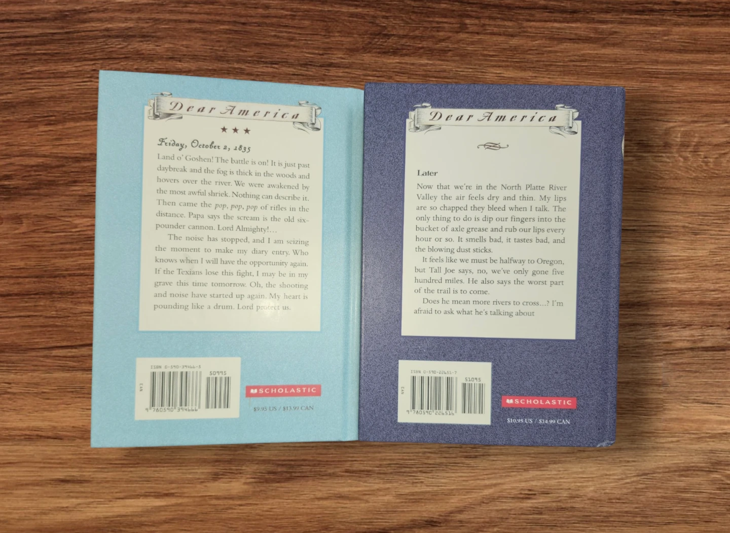 Dear America Books - photo 2