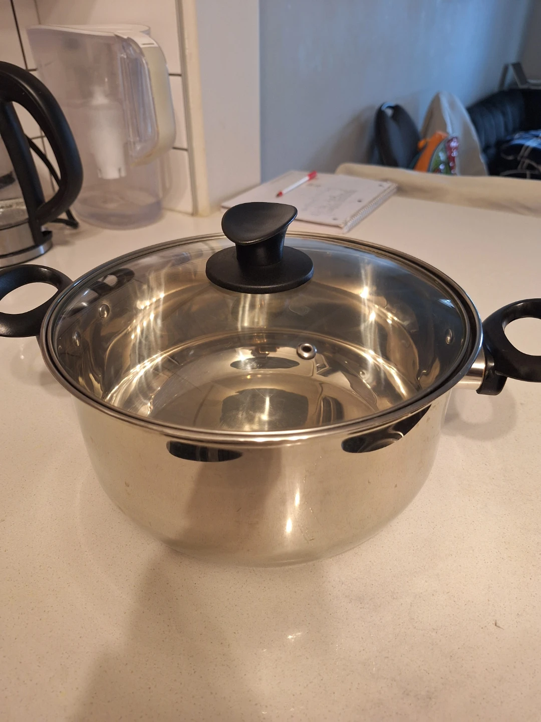 Stainless Steel Stock Pot with Glass Lid