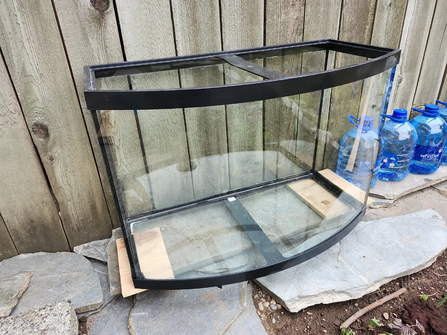 Bowfront Aquarium Tank - photo 3