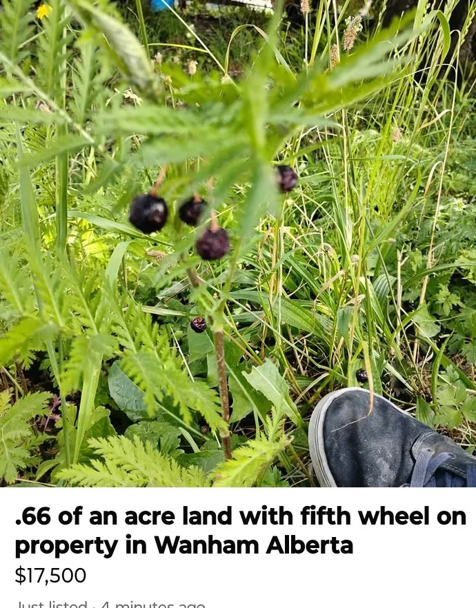 .66 Acre Land with Fifth Wheel in Wanham, Alberta