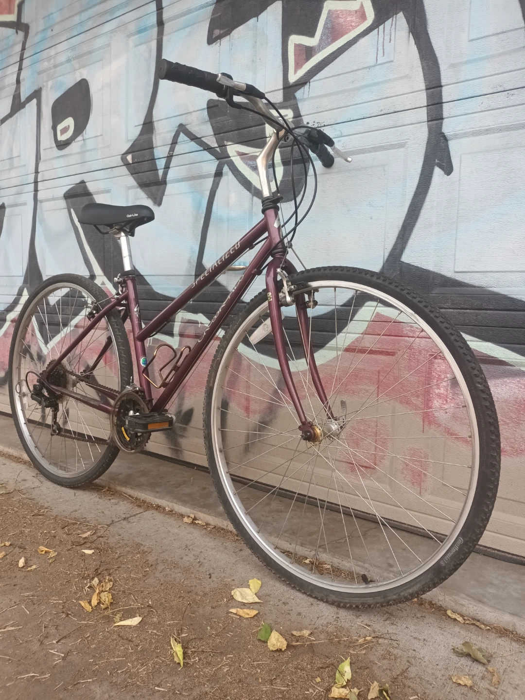 Specialized Crossroads Bike