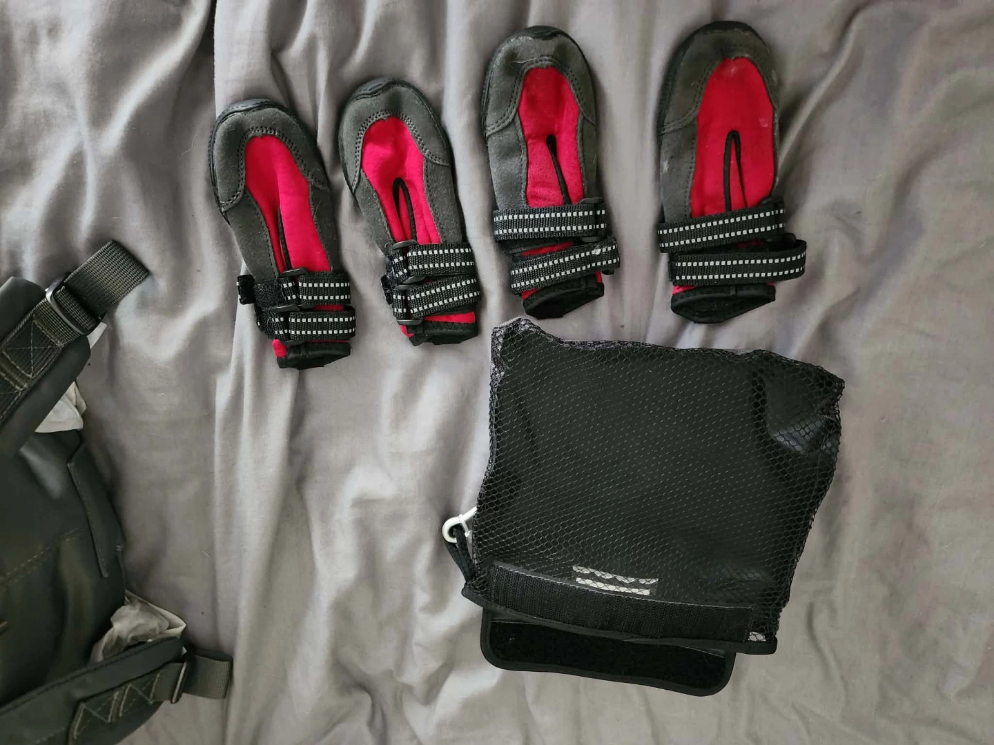 Set of 4 Dog Boots - Size M