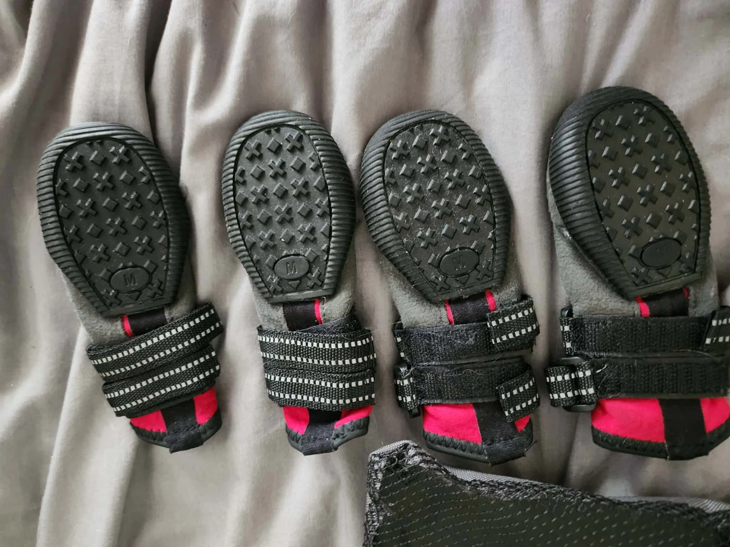 Set of 4 Dog Boots - Size M - photo 2
