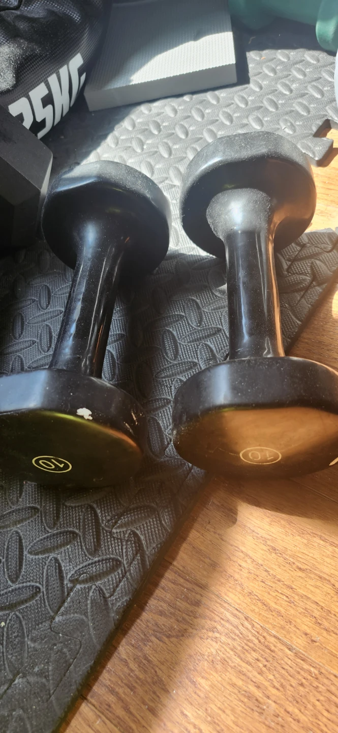 Pair of 10 lb Dumbbells