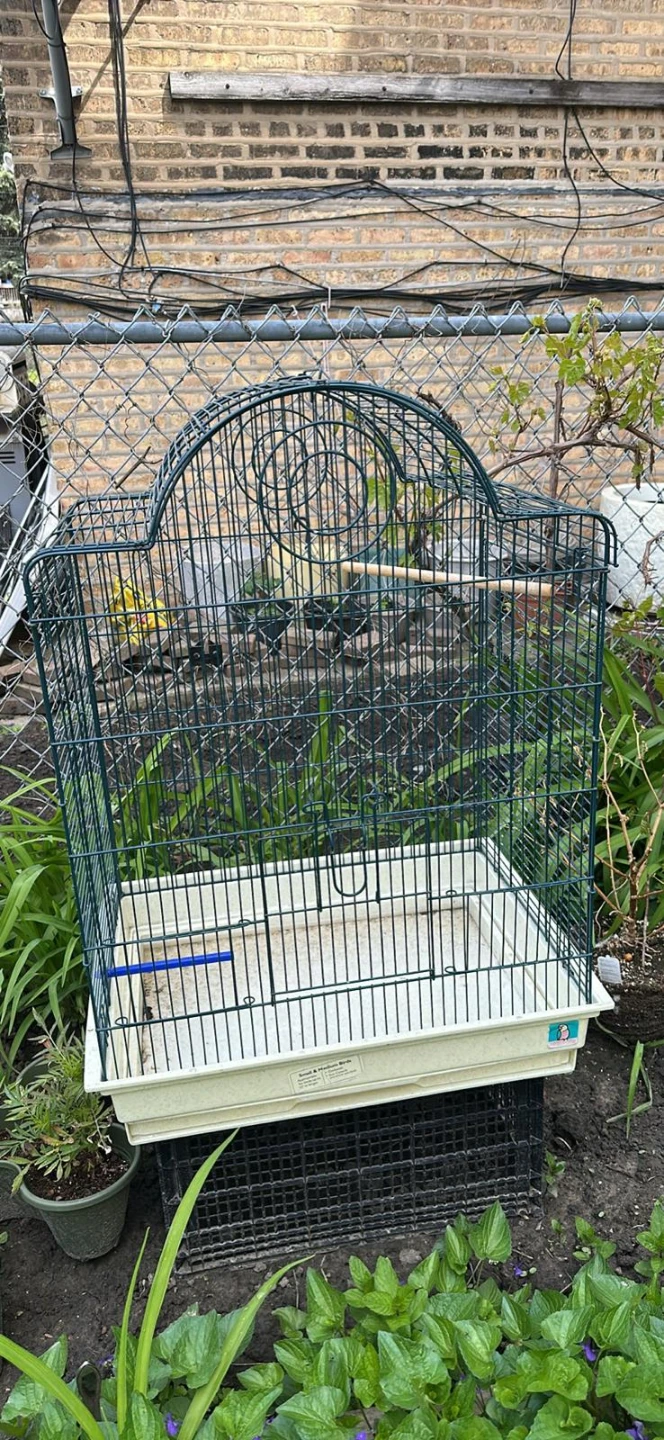 Pet Bird Cage for Small & Medium Birds