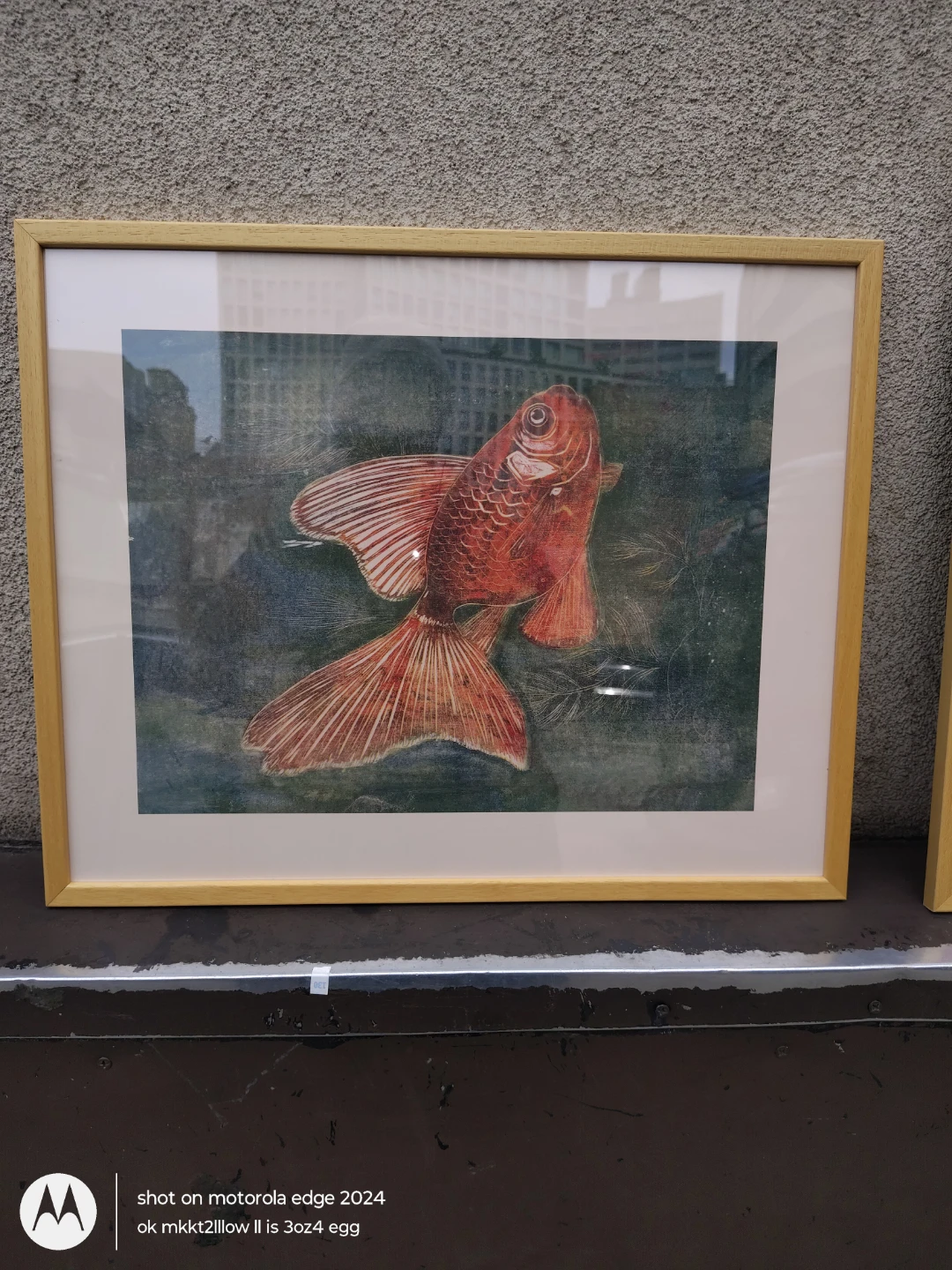 Framed Goldfish Artwork