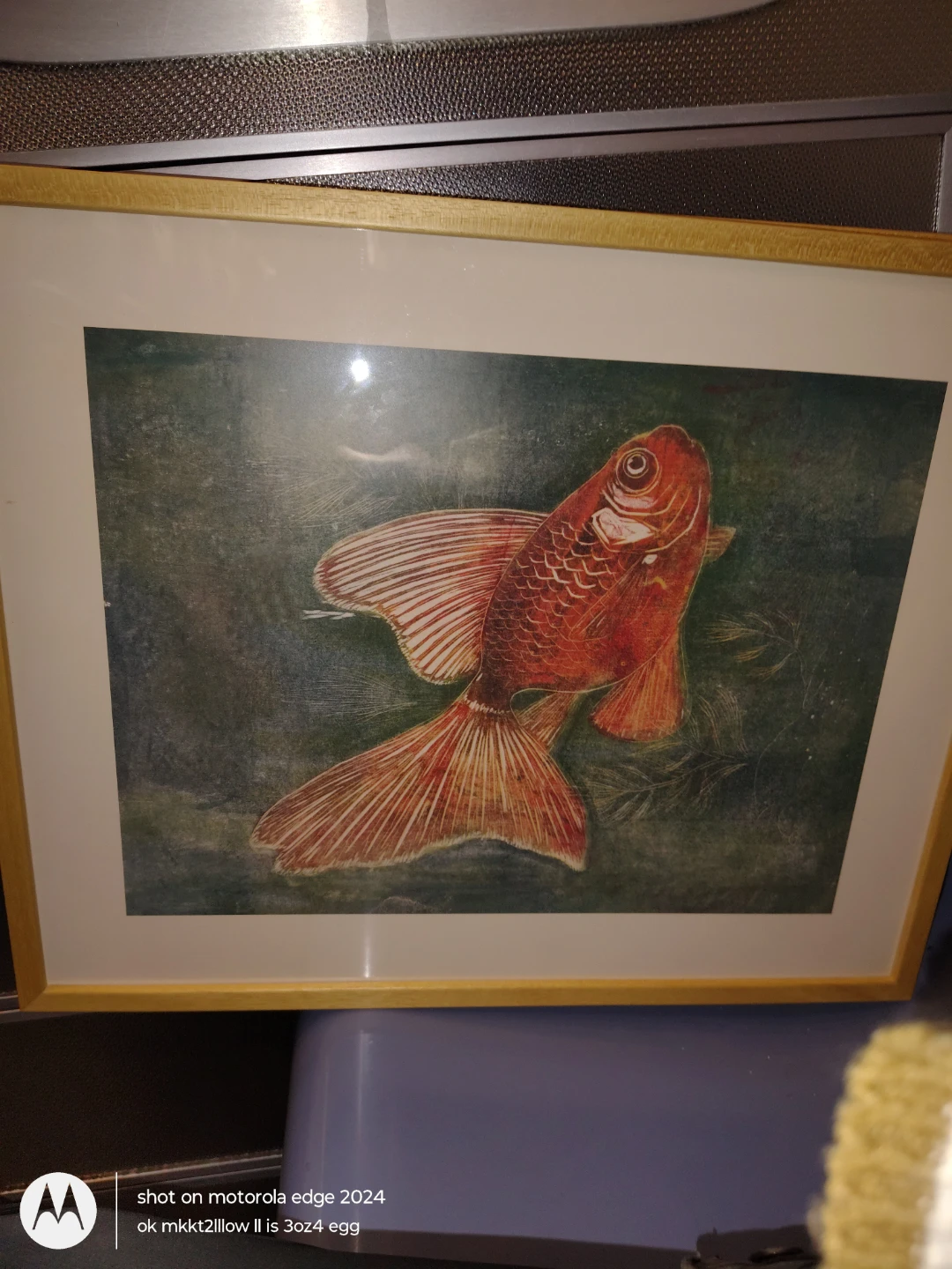 Framed Goldfish Artwork - photo 2