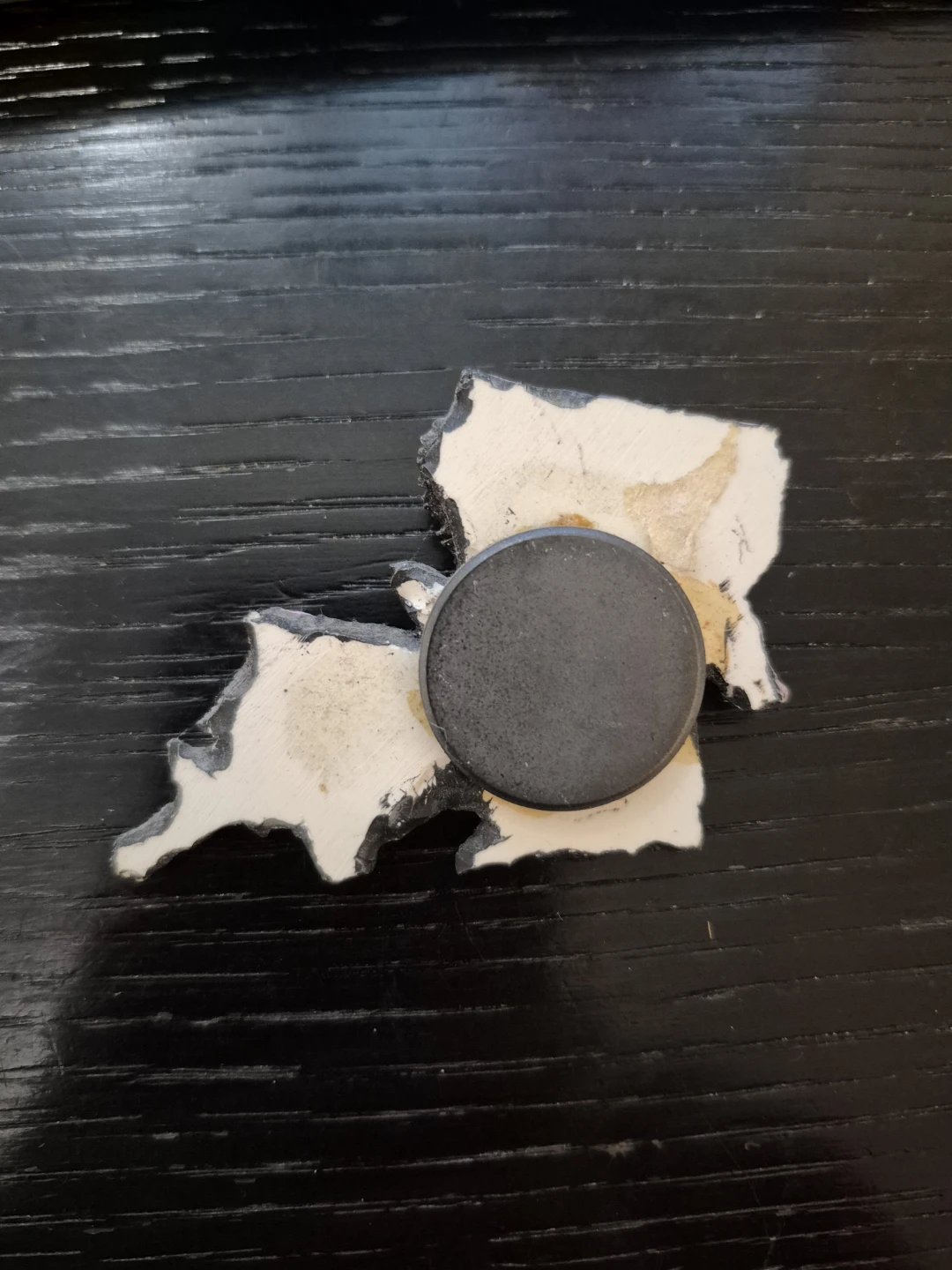 Louisiana Pelican Magnet Souvenir - photo 2