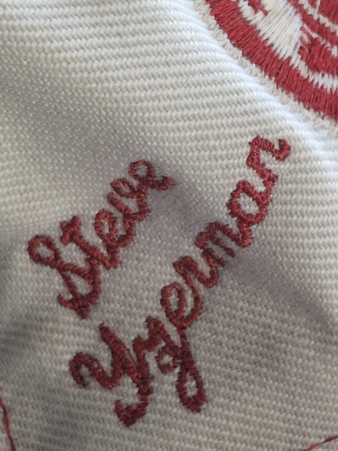 Steve Yzerman Detroit Red Wings NHL Cap 19 - photo 3