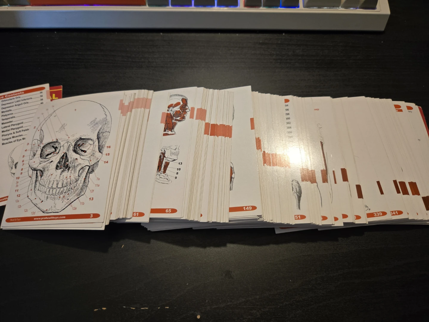 Muscle Manual Flashcards - Dr. Nikita A. Vizniak - photo 3