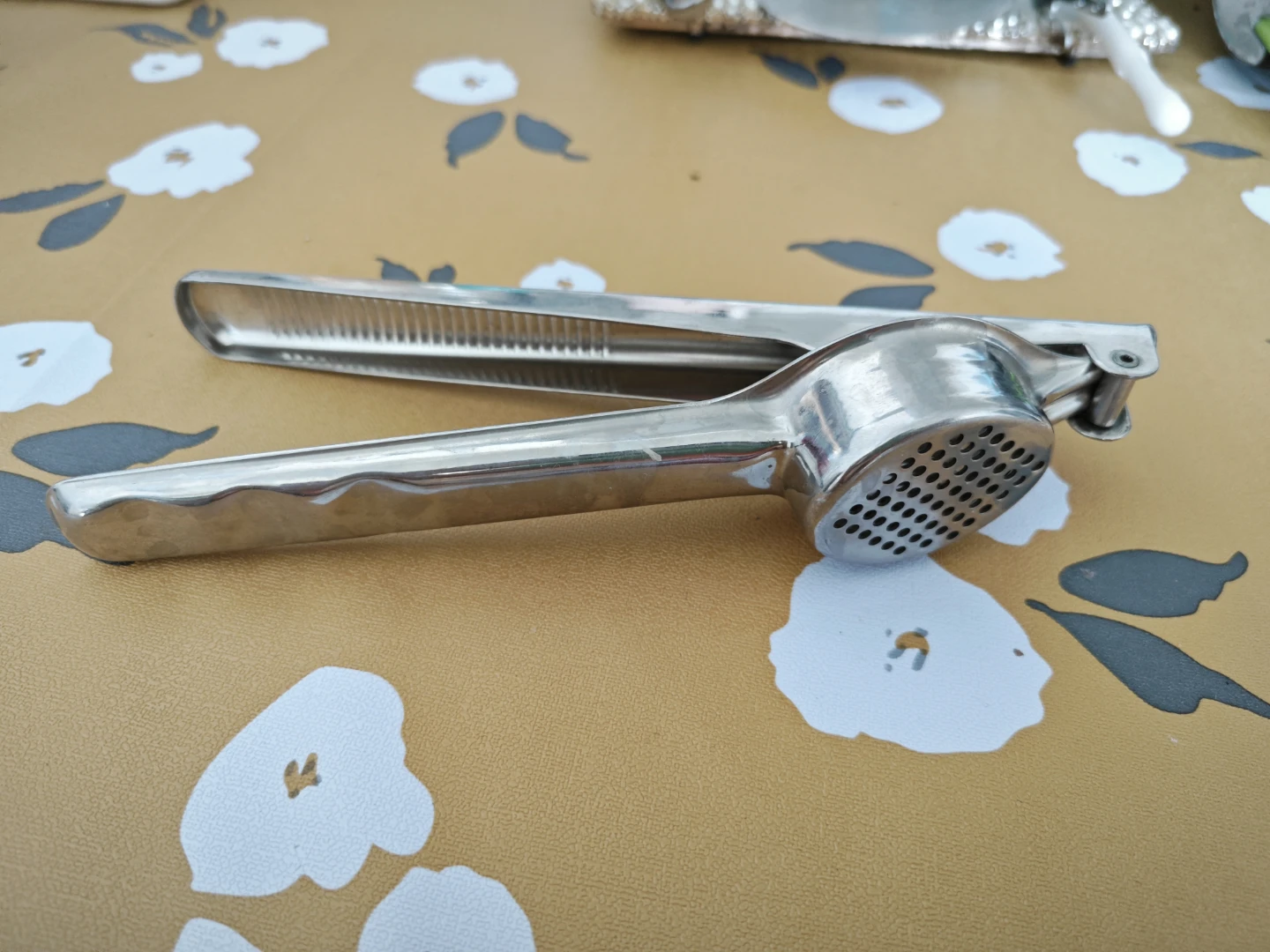 Stainless Steel Garlic Press