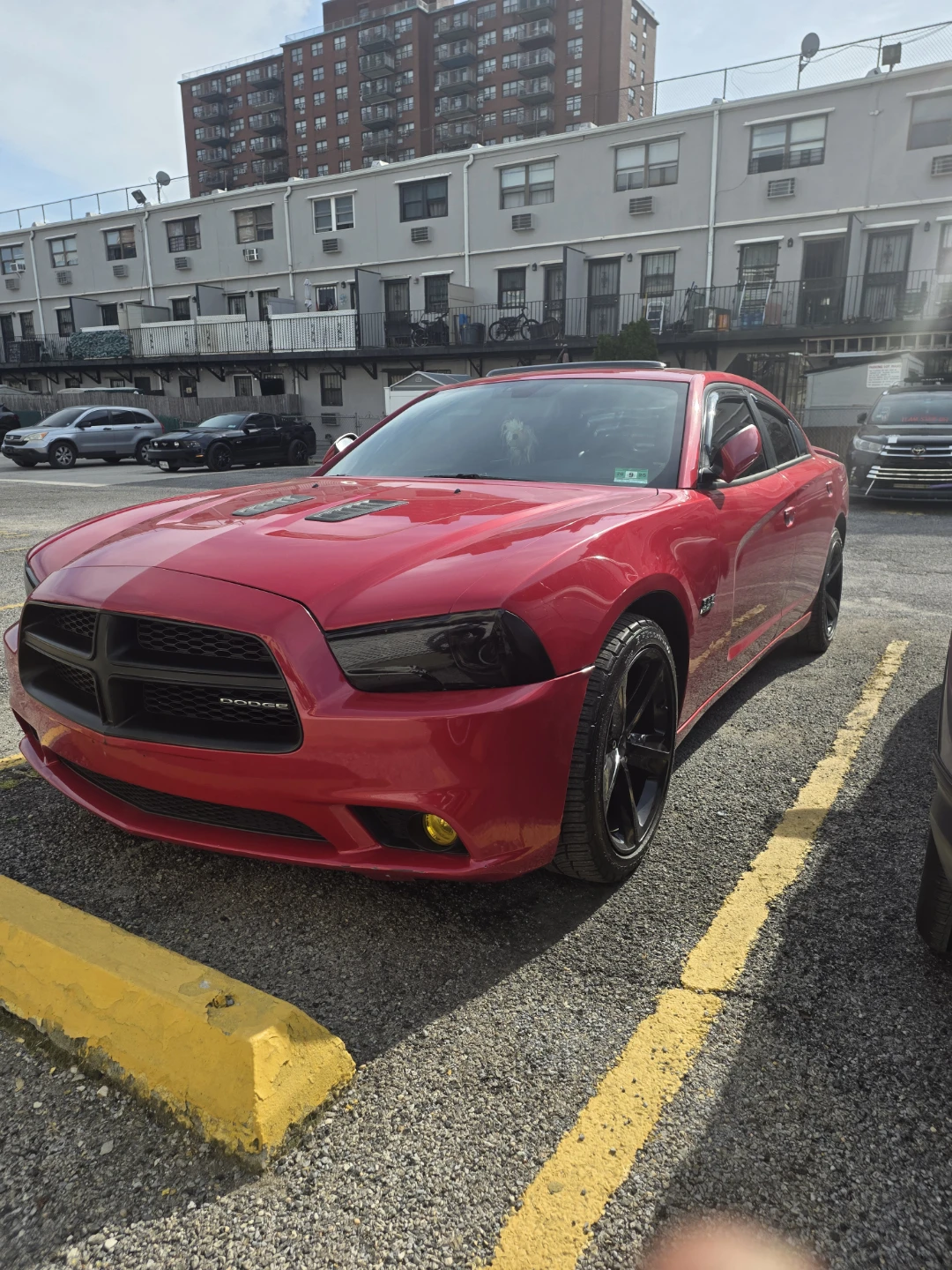 2012 Dodge Charger DMAX  Sedan