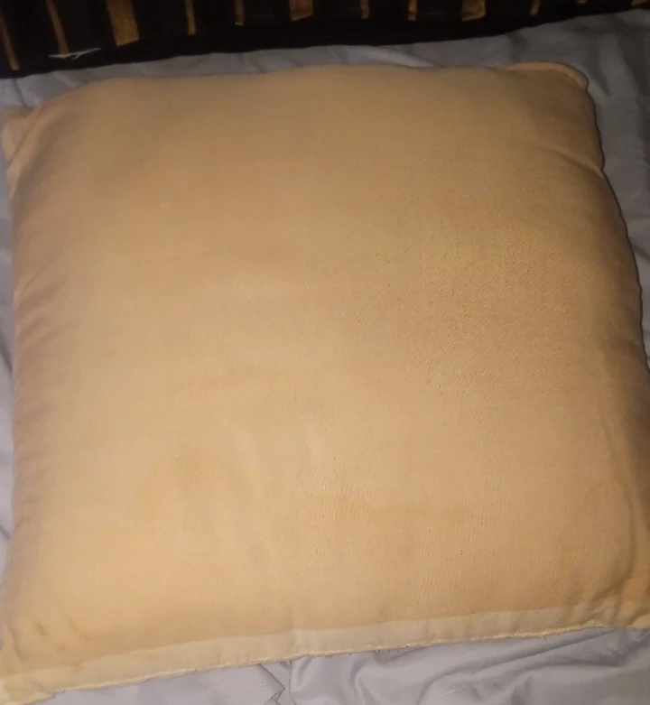 Throw Pillow Set - photo 4